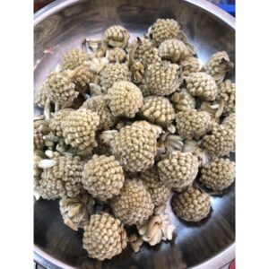 密蒙花 绿萝花 100gm 野生西藏