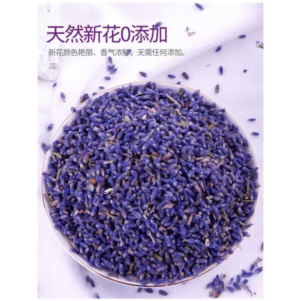 73-01 薰衣草 Lavender