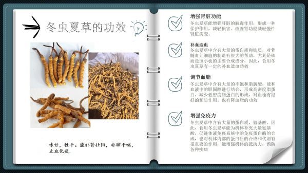 73533015_130899898336223_8800369130302603264_n