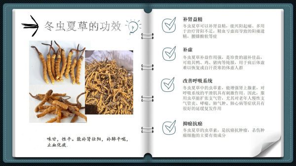 75402233_130899835002896_7245650652016148480_n