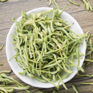 金银花 Honeysuckle