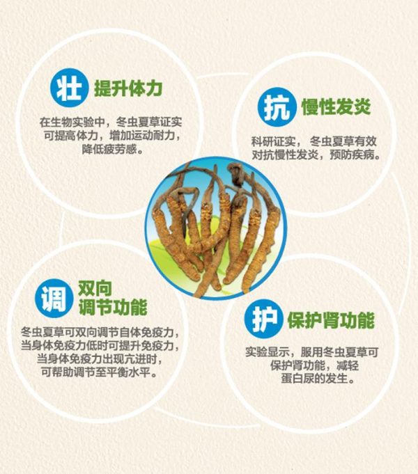 WhatsApp Image 2023-02-17 at 7.24.22 PM