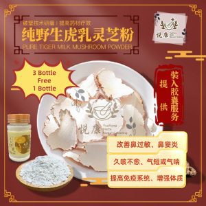 野生虎乳芝丸 Pure Tiger Milk Mushroom Cendawan Susu Harimau