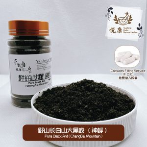 野生长白山大黑蚁(神蜉) 强身保健丸 Pure Black Ant (ChangBai Mountain)