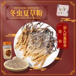 冬虫夏草丸 Pure Cordyceps Powder & Capsules