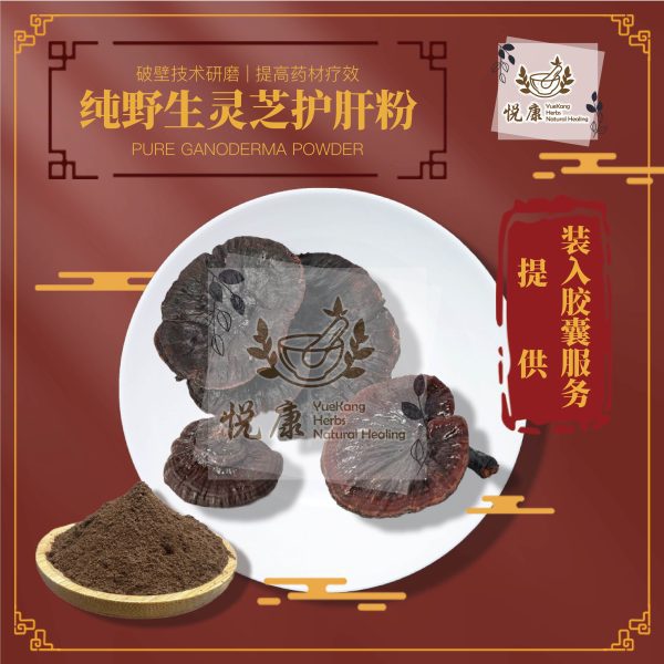 ling zhi chu gan-01